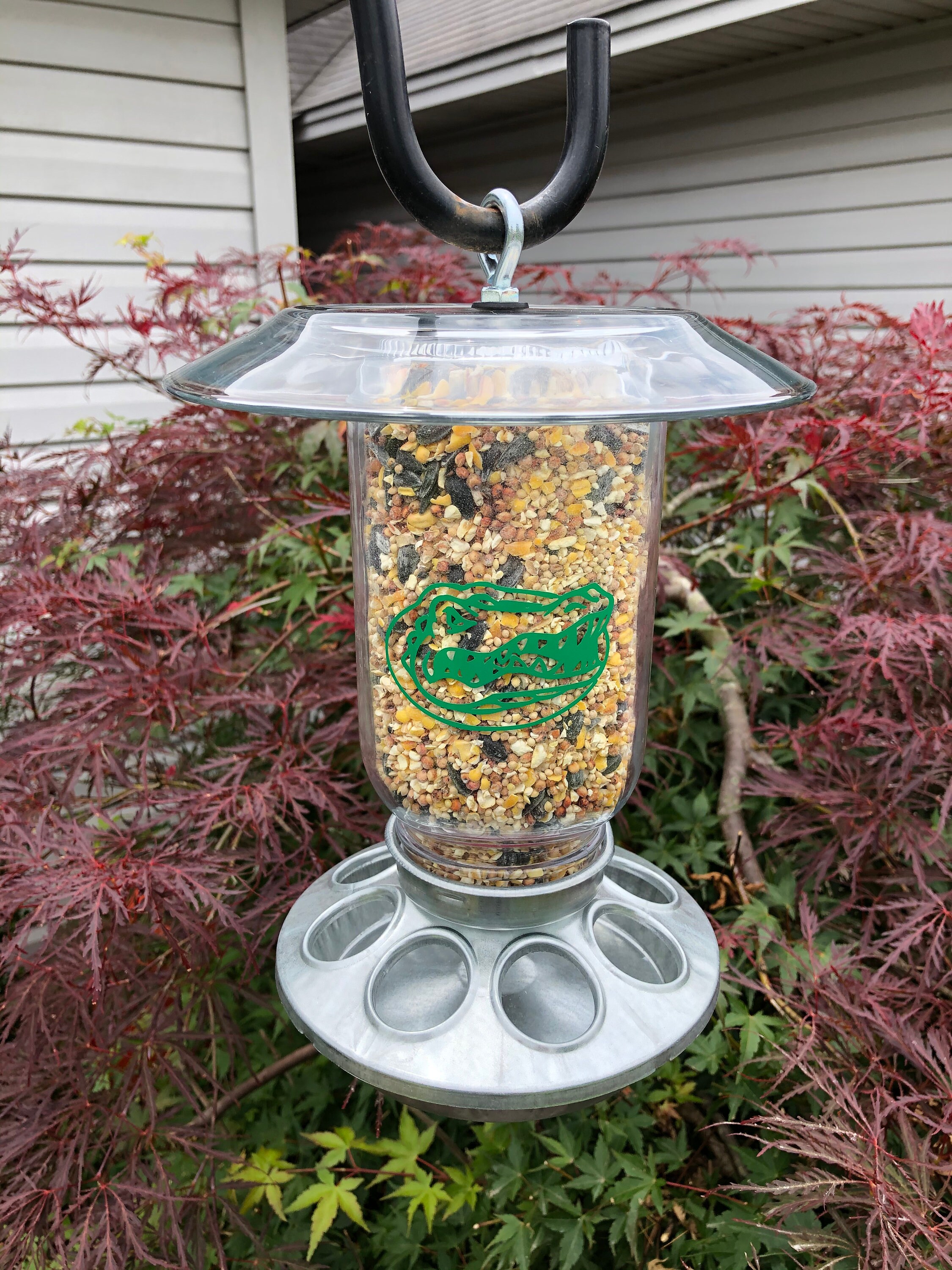 Florida Gators Wild Bird Feeder - Etsy