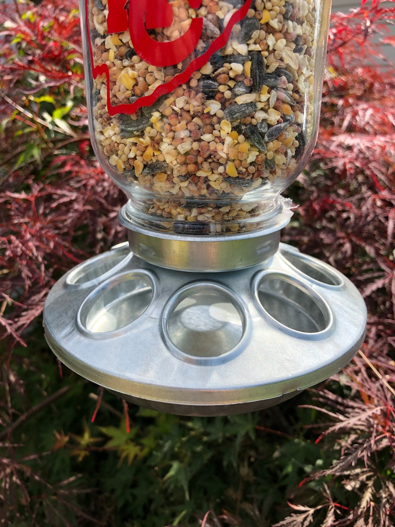 Kansas City Chiefs Wild Bird Feeder Etsy