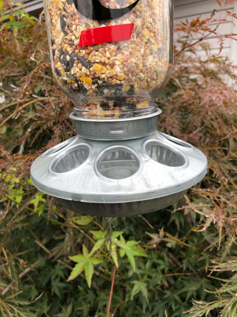 Cincinnati Bearcats Wild Bird Feeder Etsy