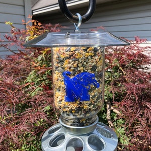 University of Memphis Wild Bird Feeder