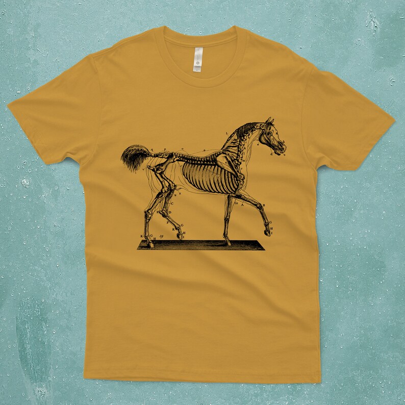 Horse Skeleton on a T-Shirt