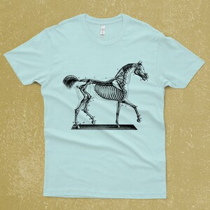 Horse Skeleton on a T-Shirt