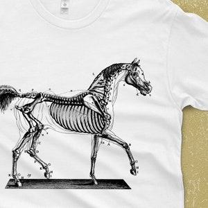 Horse Skeleton on a T-Shirt