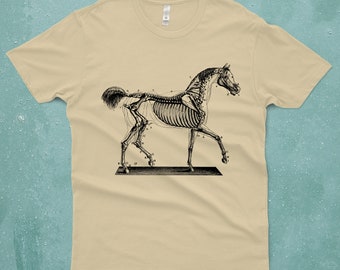 Horse Shirt - Unisex Sizing - Horse Skeleton Shirt - Graphic Tee - Science - Diagram - Men's and Women's -
