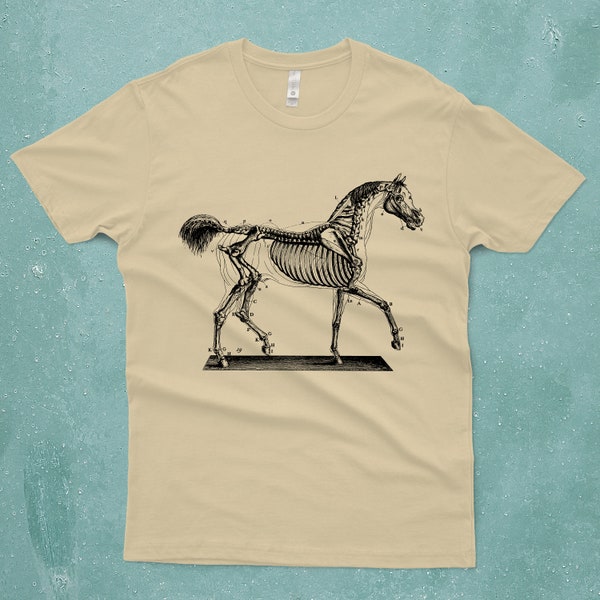 Horse Shirt - Unisex Sizing - Horse Skeleton Shirt - Graphic Tee - Science - Diagram - Men's and Women's -