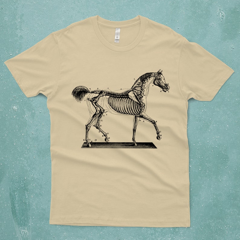 Horse Skeleton on a T-Shirt