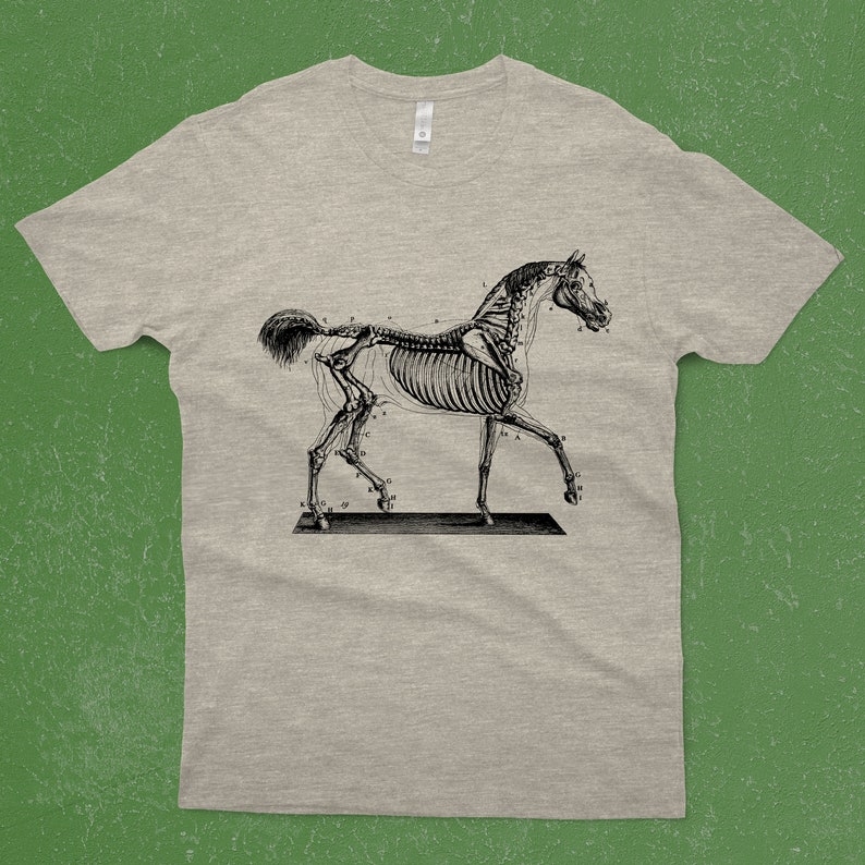 Horse Skeleton on a T-Shirt