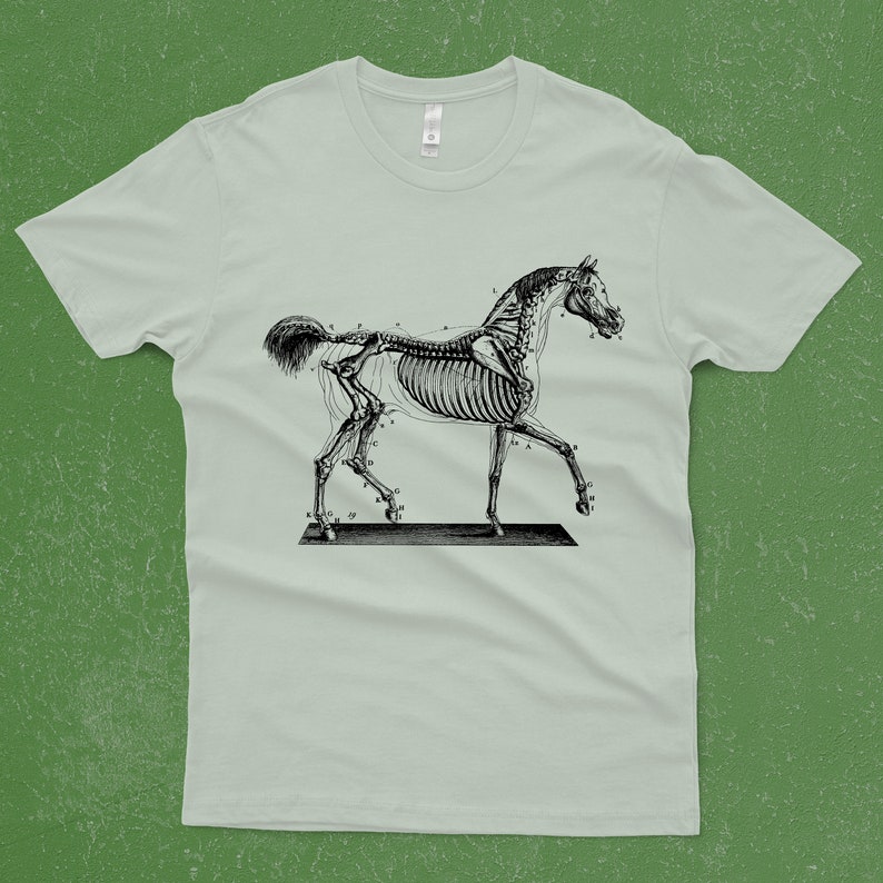 Horse Skeleton on a T-Shirt