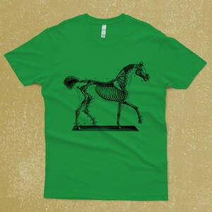 Horse Skeleton on a T-Shirt