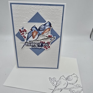 carte vierge, pensée à vous, sympathie, guérissez bientôt, oiseaux, amis à plumes