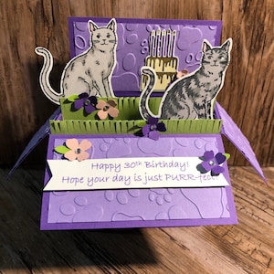 Carte d'anniversaire pop-up, chats, chatons, chatte, minou, gâteau, félin, ronronnement parfait, carte dans une boîte, carte 3D, carte avec boîte