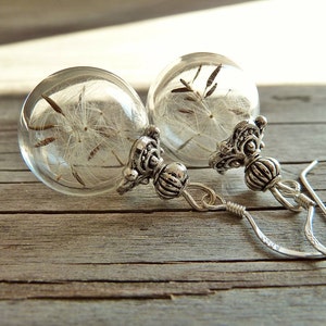 Pusteblumen Ohrringe 925 Silber Ohrhaken dandelion earrings Silberschmuck Glaskugelschmuck Glücksbringer Blütenschmuck make a wish Bild 1