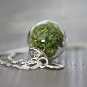 Silberkette mit echtem Wald Moos grün Halskette Naturschmuck versilberte  Botanischer Schmuck Stille Wald Naturfreund Kleines Stück Natur