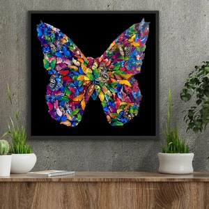 May include: A colorful butterfly made of many smaller butterflies, all different colors and patterns, on a black background.