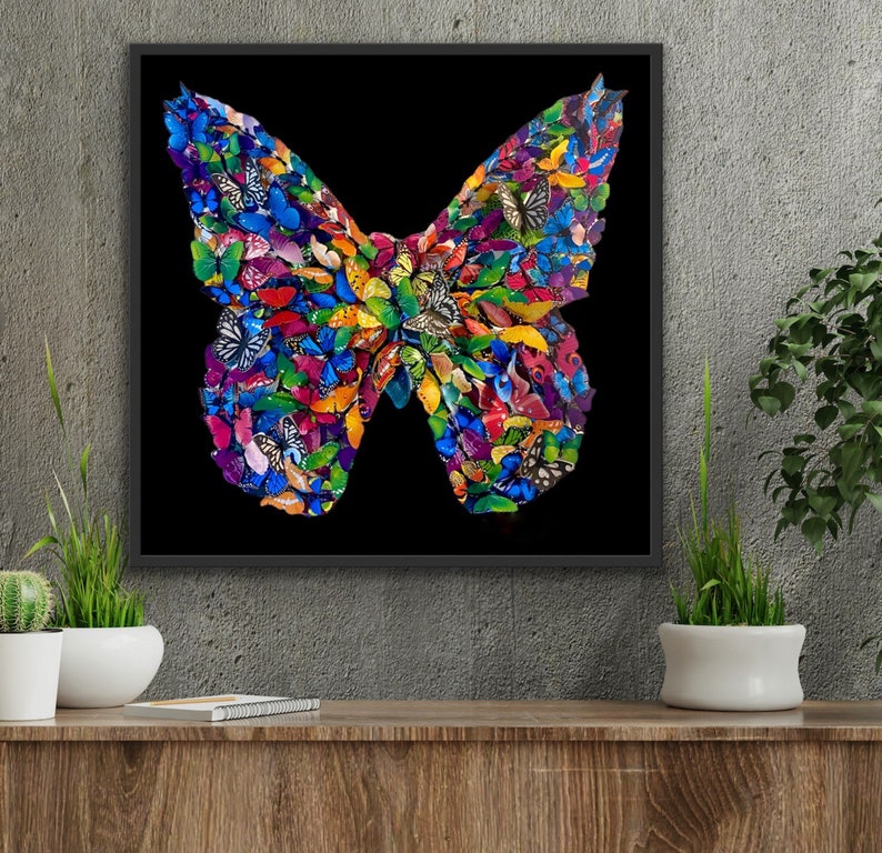 May include: A colorful butterfly made of many smaller butterflies, all different colors and patterns, on a black background.