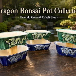 Pode incluir: Uma coleção de vasos de cerâmica para bonsai em verde esmeralda e azul cobalto, com motivos de dragão em relevo. Os vasos estão empilhados em pares com espaçadores de madeira clara. O texto na imagem diz: Dragon Bonsai Pot Collection.