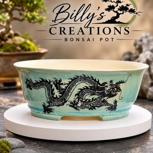 Drakenbonsaipot, aquakleurige geglazuurde keramische plantenpot met opvallend zwart design.