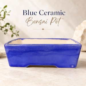 Blue Ceramic Bonsai Pot with Drainage, Compact Rectangle Planter for Small Trees