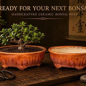 Ceramic Plant Pot, Amber Drip Glaze, Oval Or Square Shape Options