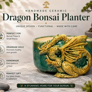 Könnte beinhalten: Handgefertigter Dragon Bonsai Pflanztopf aus Keramik. Der Pflanztopf ist teal mit einer detaillierten goldenen Drachenskulptur an der Seite. Der Text auf dem Pflanztopf lautet "Unique Design, Functional, Made with Care".