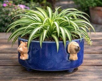 Vaso de cerâmica artesanal em formato de animal: Tigela azul brilhante para suculentas.