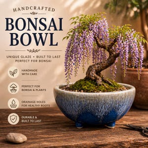 May include: A handcrafted bonsai bowl with a unique glaze, perfect for bonsai and plants. The blue and gray bowl features drainage holes for healthy roots and is built to last. The image also shows a bonsai tree with purple flowers.