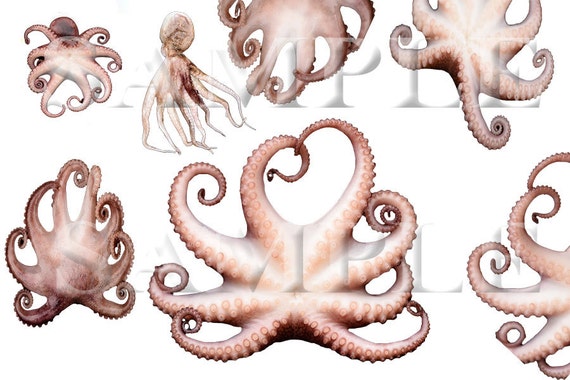 Download Free Stock Photo Png Files Octopus Tentacles Etsy SVG DXF Cut File