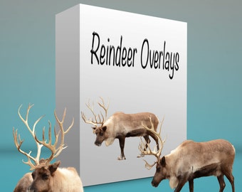 Reindeer Overlays