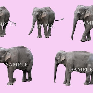 Elephant Overlays