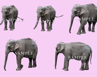 Elephant Overlays