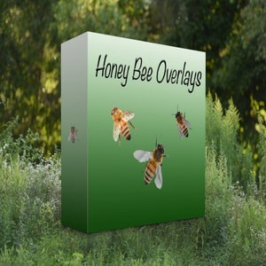 May include: A green box with the text "Honey Bee Overlays" on the front. The box has four honey bees on it, three of which are flying.