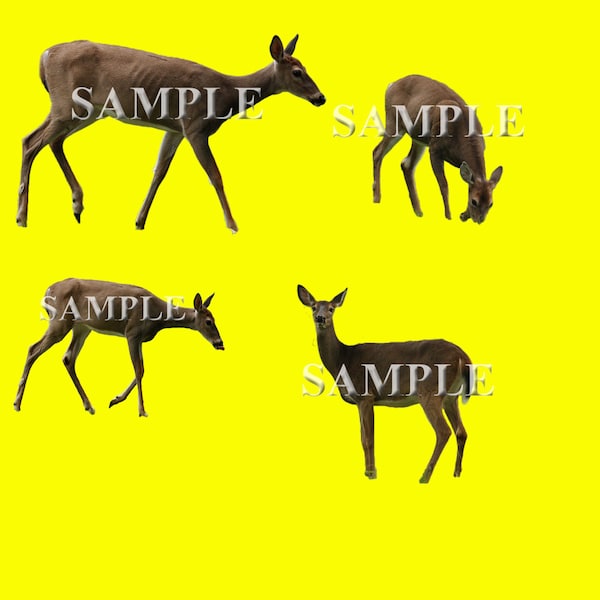 Deer Overlays PNG Files