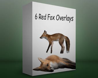 6 Red Fox Overlays