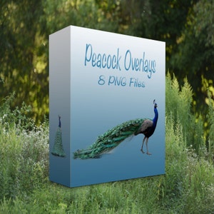 Peacock digital overlays