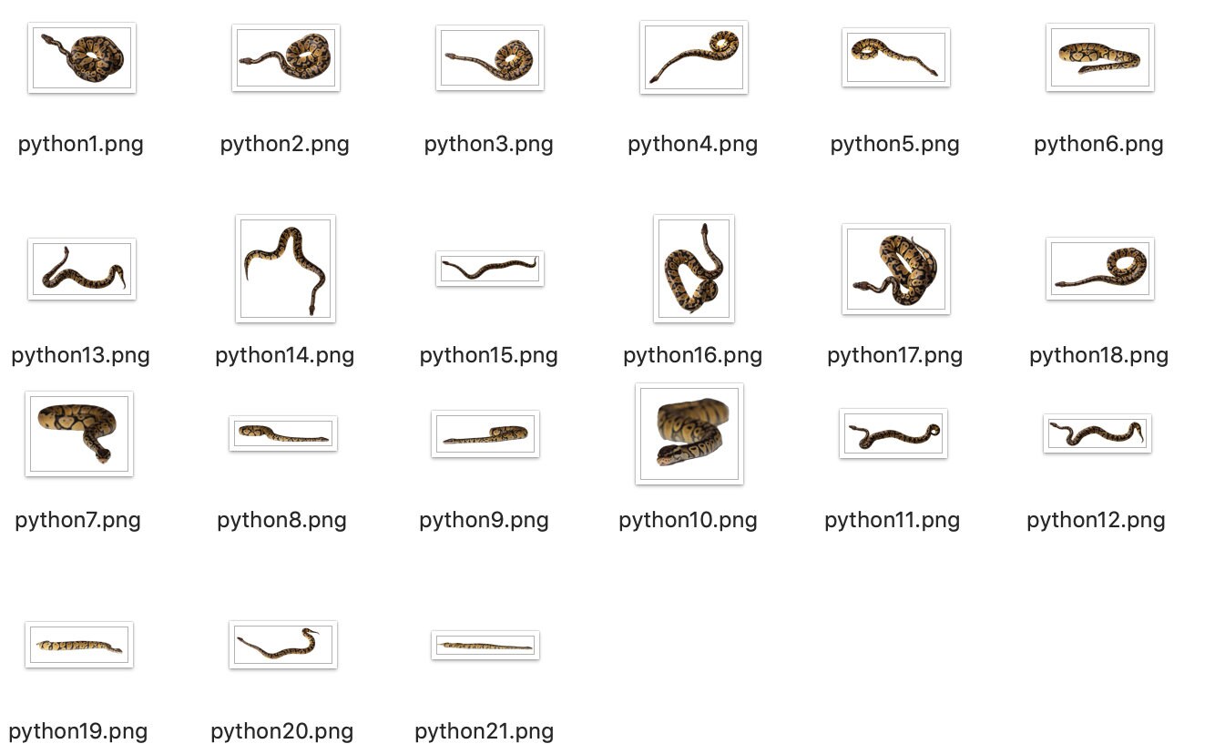 21 Python overlays | Etsy