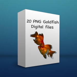 20 Goldfish Digital Overlays