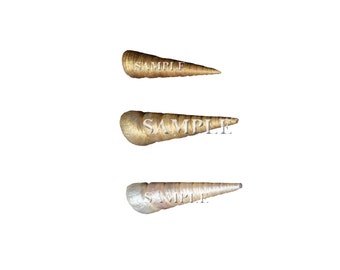 6 unicorn horn PNG-Overlay bestanden.