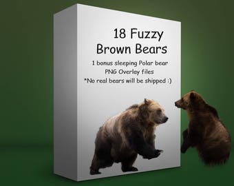 18 Fuzzy Brown bear overlays + 1 sleeping Polar bear