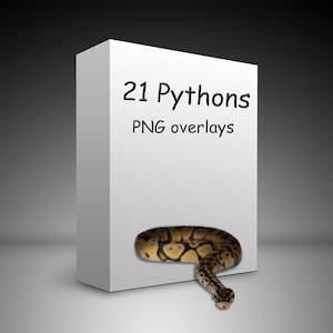 21 Pythonオーバーレイ