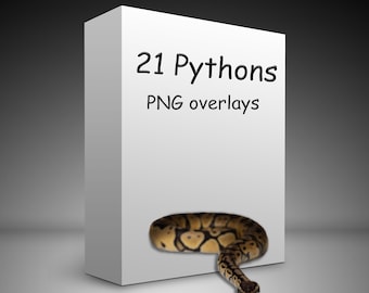 21 Python overlays