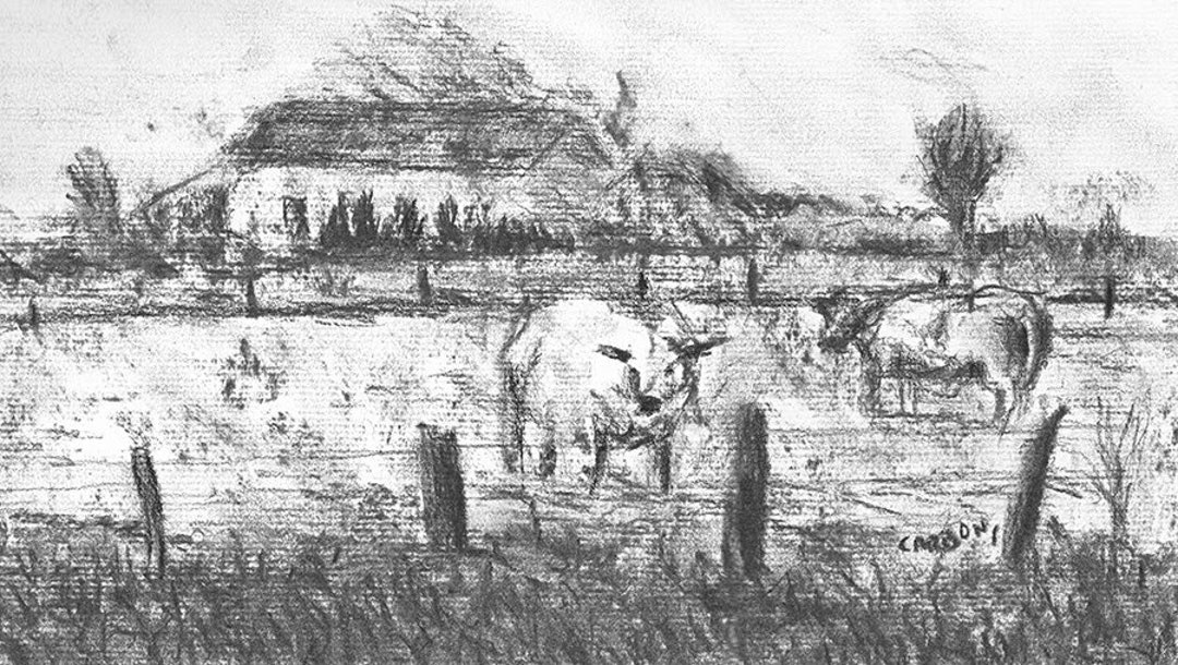 Cows on a Farm Original Charcoal Drawing Etsy