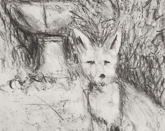 Fox Bath, original charcoal drawing