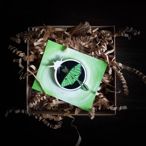 May include: A green and black moth enamel pin on a green card inside a cardboard box with brown paper filler. The pin features a detailed design of a moth with a black outline and a white splash.