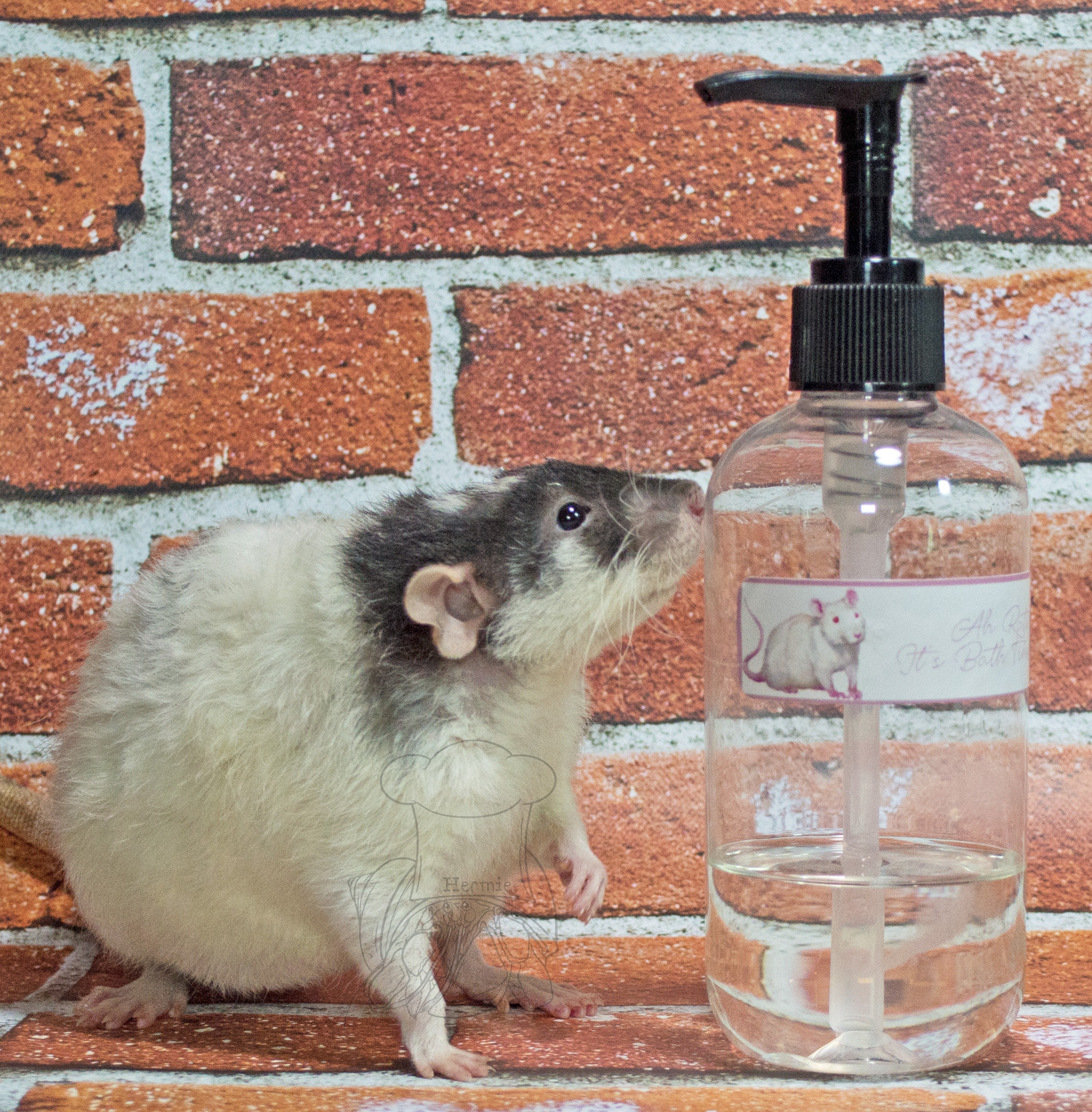 Ah Rats It's Bath Time Rat Shampoo Etsy