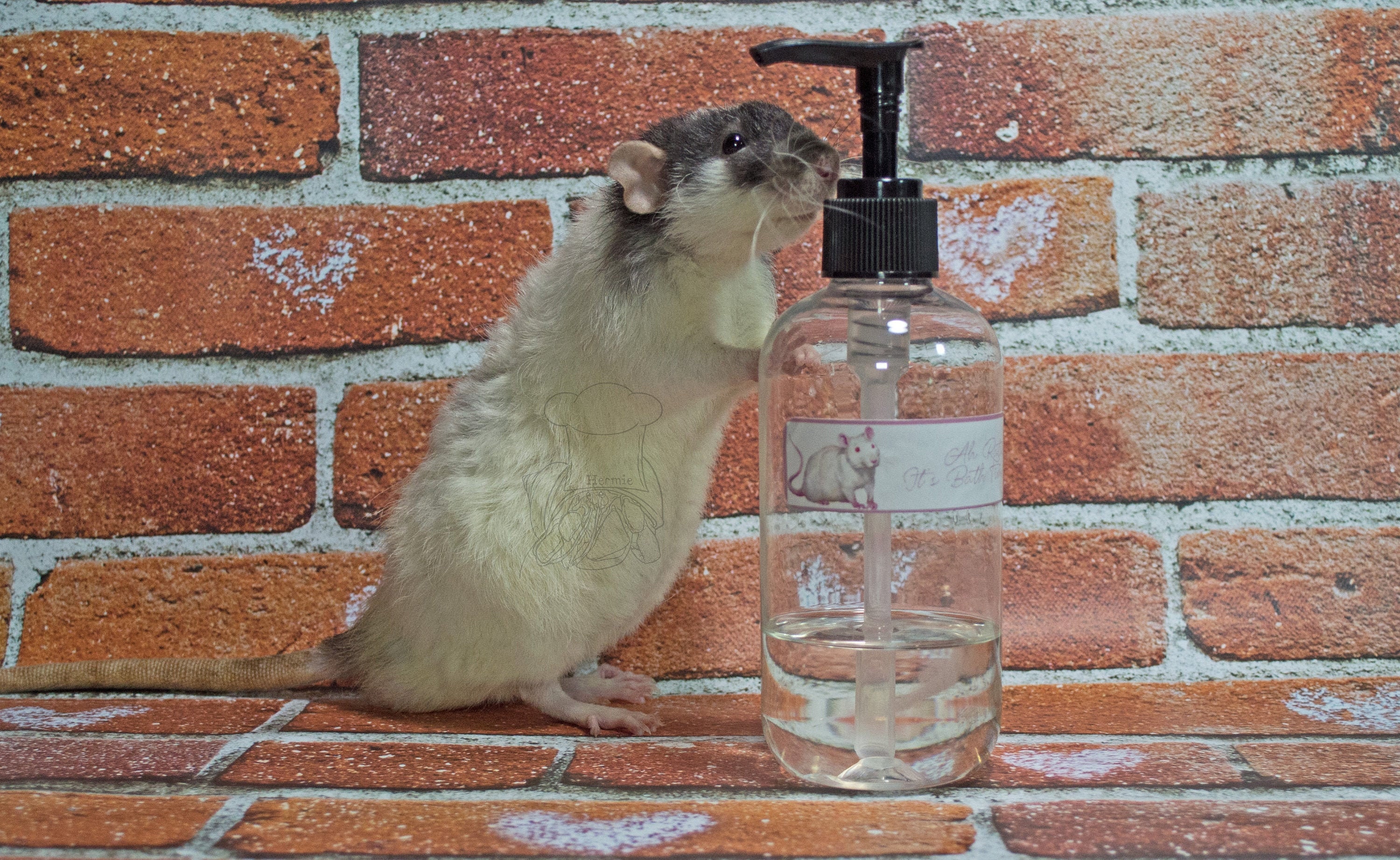 Ah Rats It's Bath Time Rat Shampoo Etsy