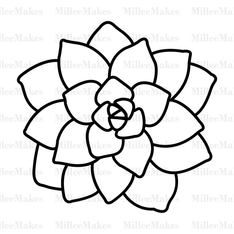 Succulent Line Art Vector SVG for Cricut Succulent Clipart | Etsy