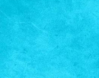Teal Blue Blender # 00300 Sold in 12 Yard Increments P/&B Textiles