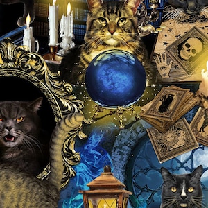 Halloween Fabric, Mystical Spooky Black Cats, Tarot Fabric by Timeless Treasures Fabrics Halloween Yardage and Fat Quarters available