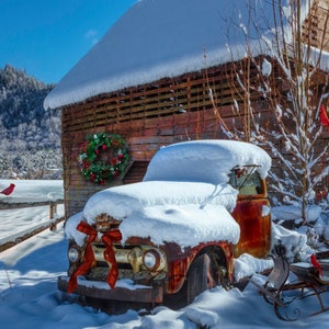 Winter Truck and Cardinals 36&quot; Panel by David Textiles / Christmas Winter Holiday Panel  / sold by the Cotton panel