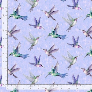 Tessuto Hummingbird / Collezione Garden Delight Flying Hummingbirds di Timeless Treasures, disponibili in metraggio e quarti di grasso